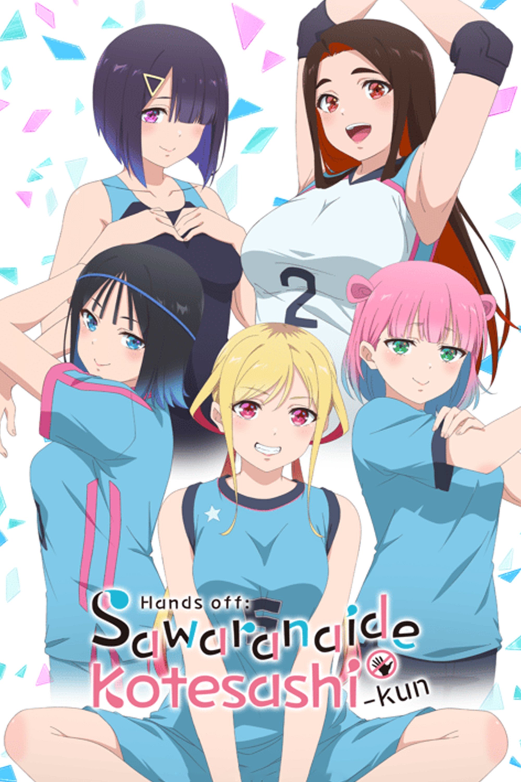 Hands off: Sawaranaide Kotesashi-kun (2025 Anime Series)